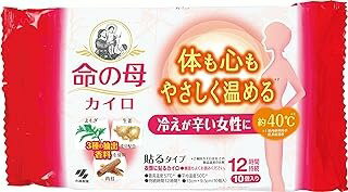 命の母 カイロ 貼るタイプ (10個入)×1個 4901548603844【取寄商品】
