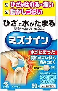 【第2類医薬品】ミズナイン (60錠)×1個 4987072100264 (越婢加朮附湯・えっぴかじゅつぶとう)
