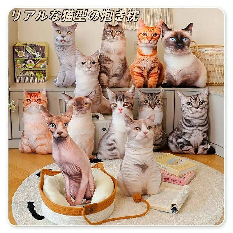 楽天市場】アメリカンショートヘア 猫 ネコ（ホビー）の通販