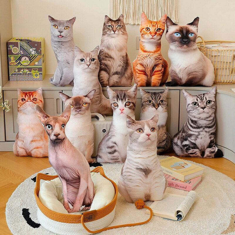 アメショーcat 楽天市場】アメリカンショートヘア 猫 ネコ（ホビー）の通販