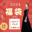 【福袋】数量限定 早い者勝ち 超お得な3点セット Aラインドレス ＋ アクセサリー ＋ ヌーブラ 福袋内容一部展示 人気商品も数多数（総..