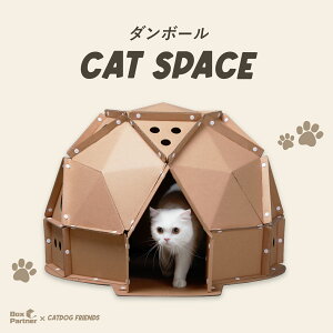 【P3倍 & クーポンで最大1000円OFF】 猫 おもちゃ 猫ハウス トンネル 遊び ねこ ネコ 玩具 オモチャ 小屋 室内 ストレス発散 運動不足 対策 ダンボール キャット 猫用 ペット用品 ペットグッズ 猫グッズ キャットスペース bxp05