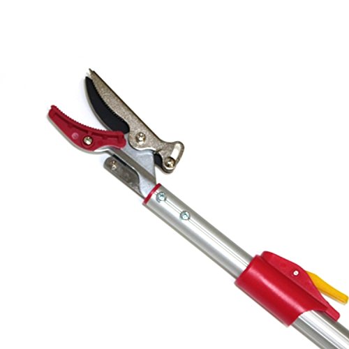 Rakuten - 【新品】 千吉(SENKICHI) 高枝切鋏 軽量 伸縮 2段3m SGLP-11 oyj0otl