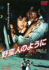 【新品】 野蛮人のように [DVD] lok26k6