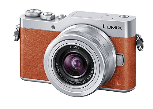 パナソニック LUMIX DC-GF9W ダブルズームレンズキット