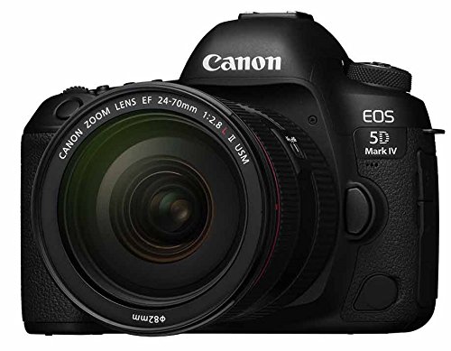 【中古】【非常に良い】Canon デジタル一眼レフカメラ EOS 5D MarkIV レンズキット EF24-70 F2.8L II USM 付属 EOS5DM4-2470LIILK