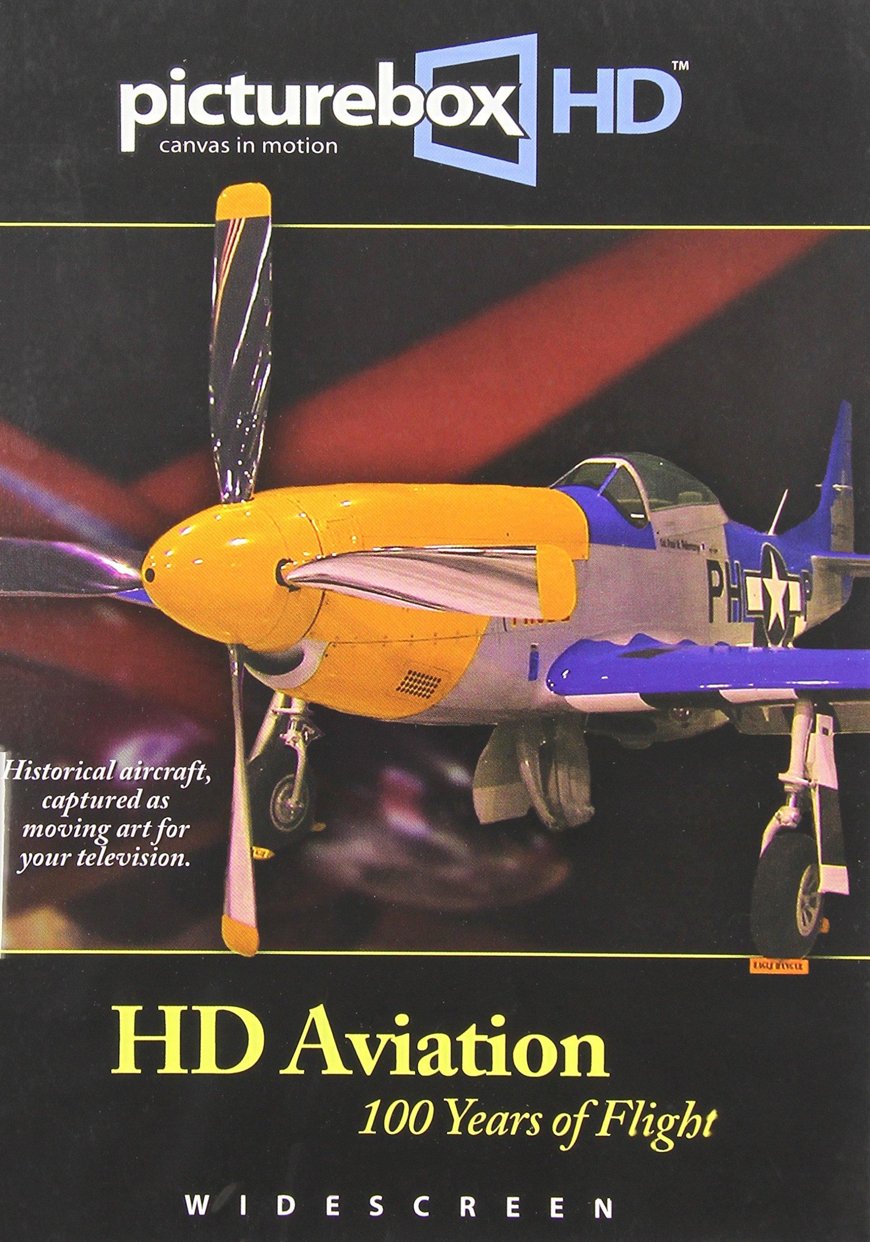 【中古】【非常に良い】Picturebox Hd: Aviation - 100 Years of Flight [DVD]