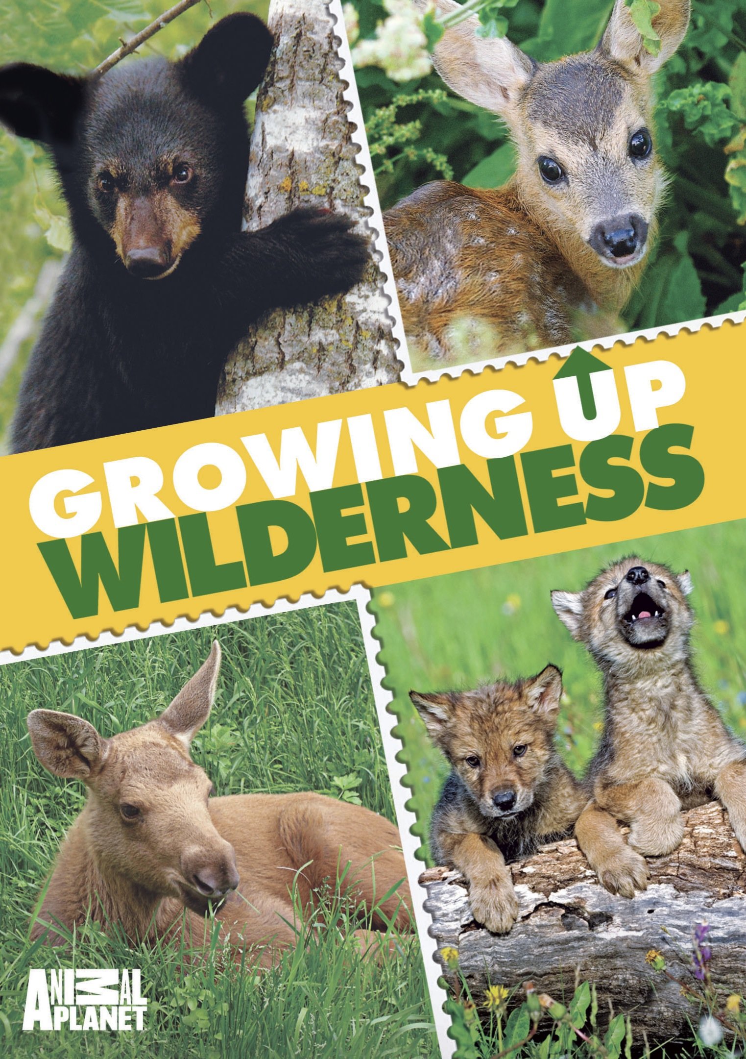 【中古】【非常に良い】Growing Up Wilderness [DVD]