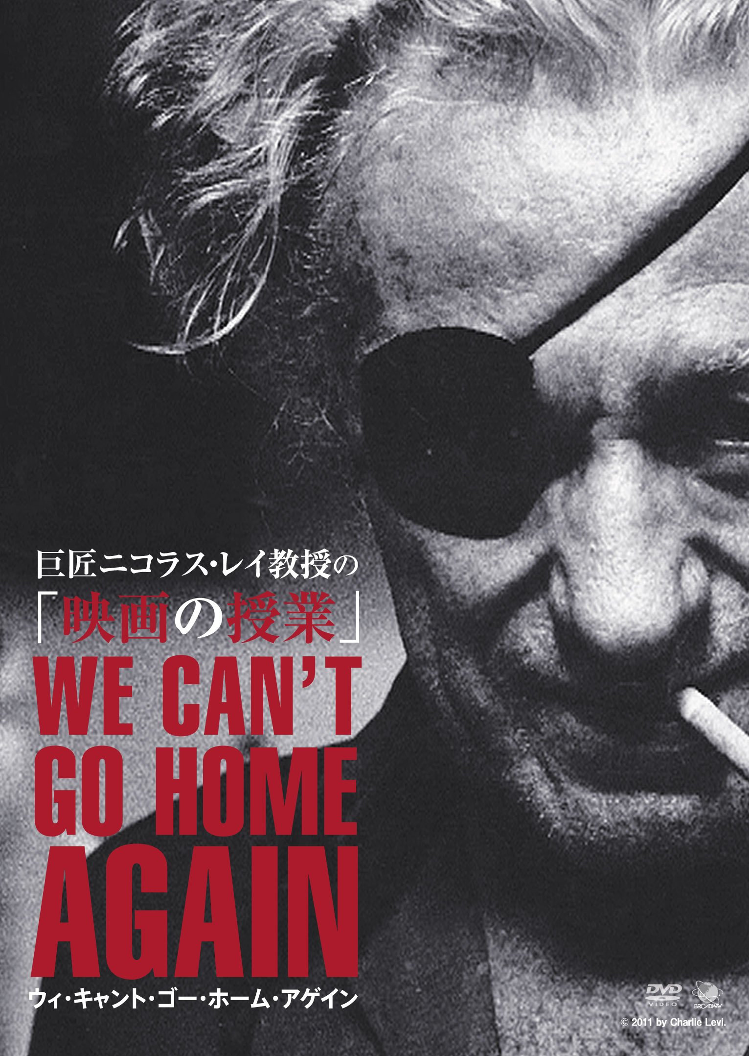 【中古】【非常に良い】巨匠ニコラス・レイ教授の「映画の授業」 ウィ・キャント・ゴ—・ホーム・アゲイン [DVD]