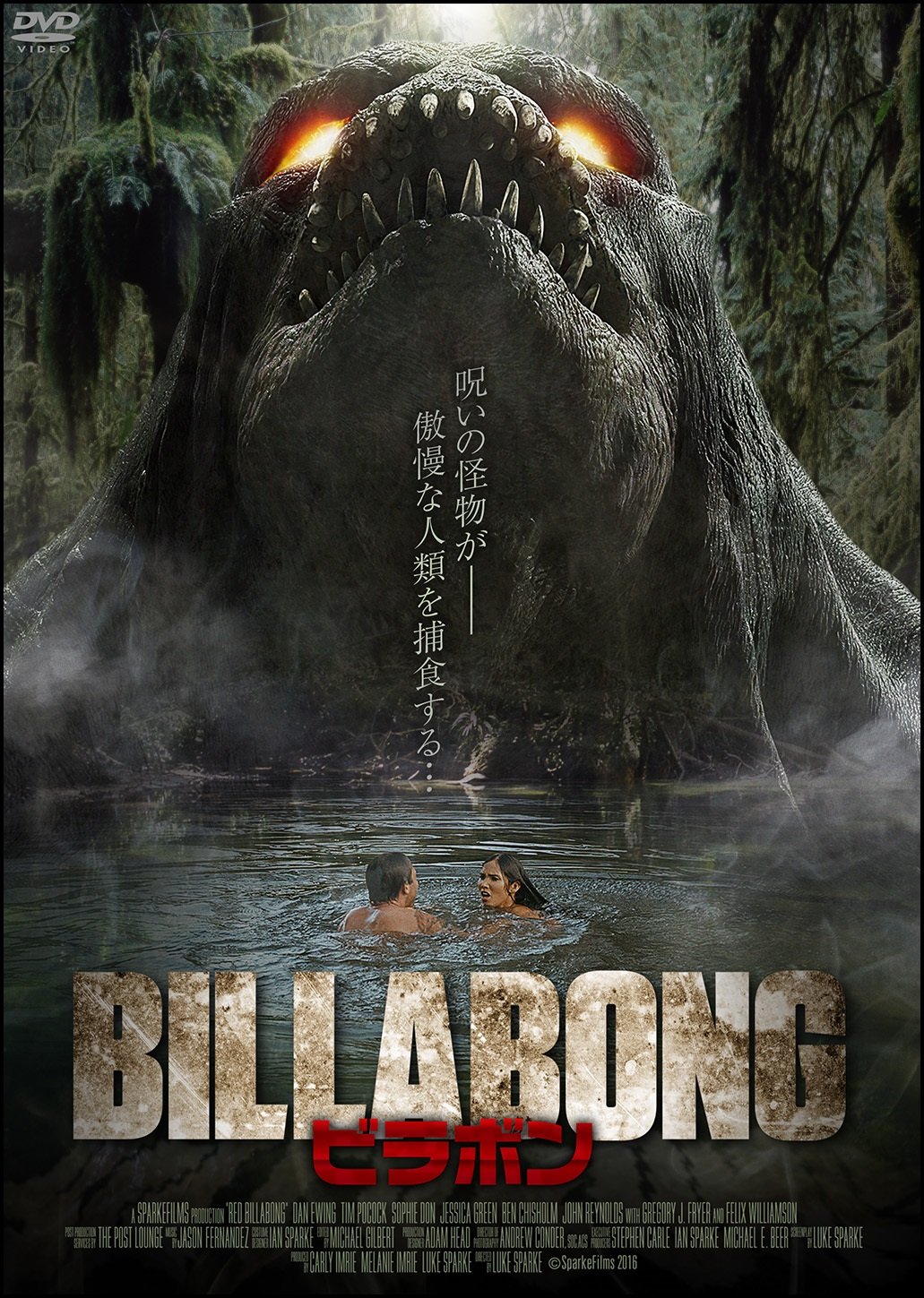 Rakuten - 【中古】【非常に良い】BILLABONG ビラボン [DVD]
