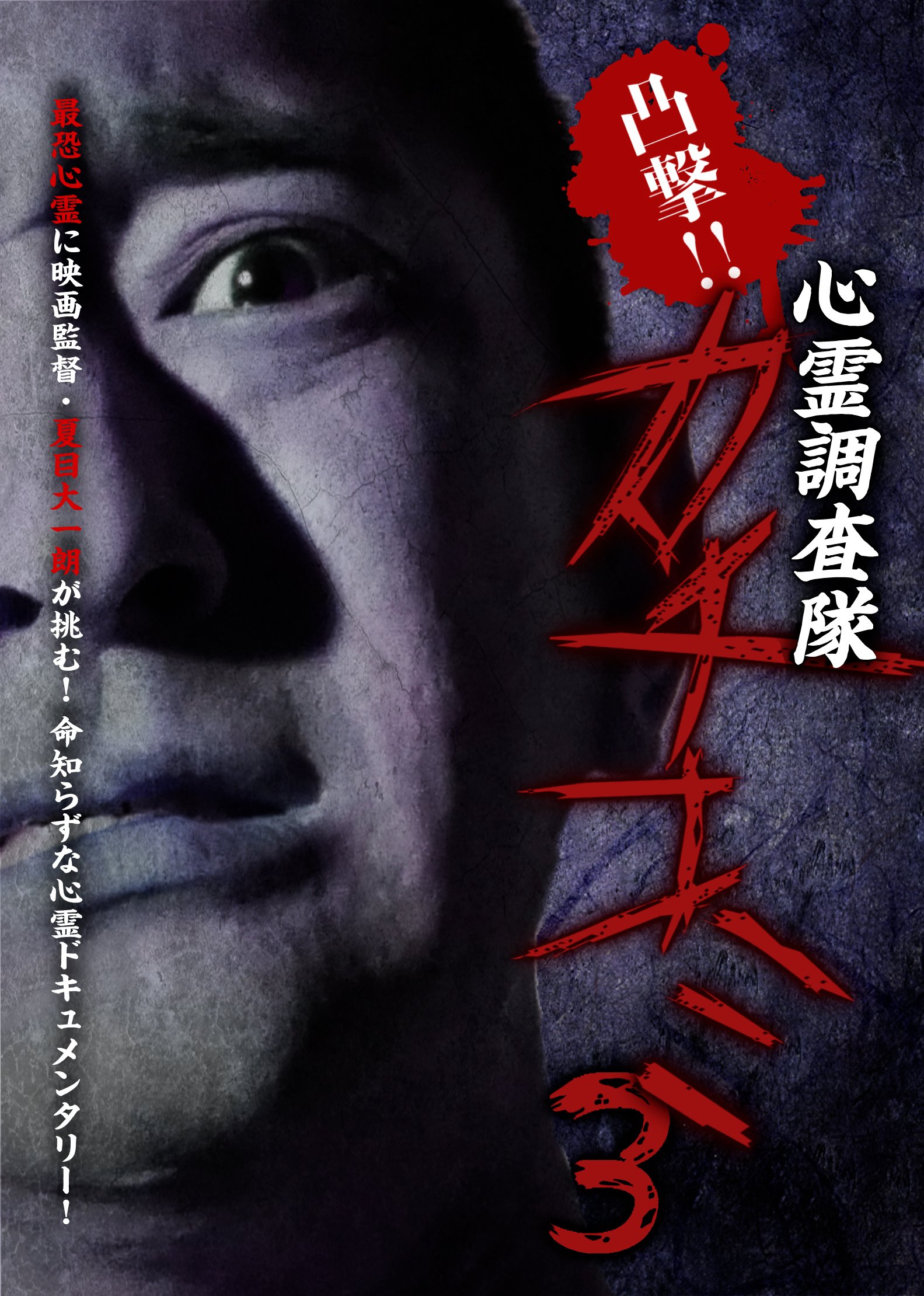 【中古】【非常に良い】凸撃!! 心霊調査隊 カチコミ3 [DVD]
