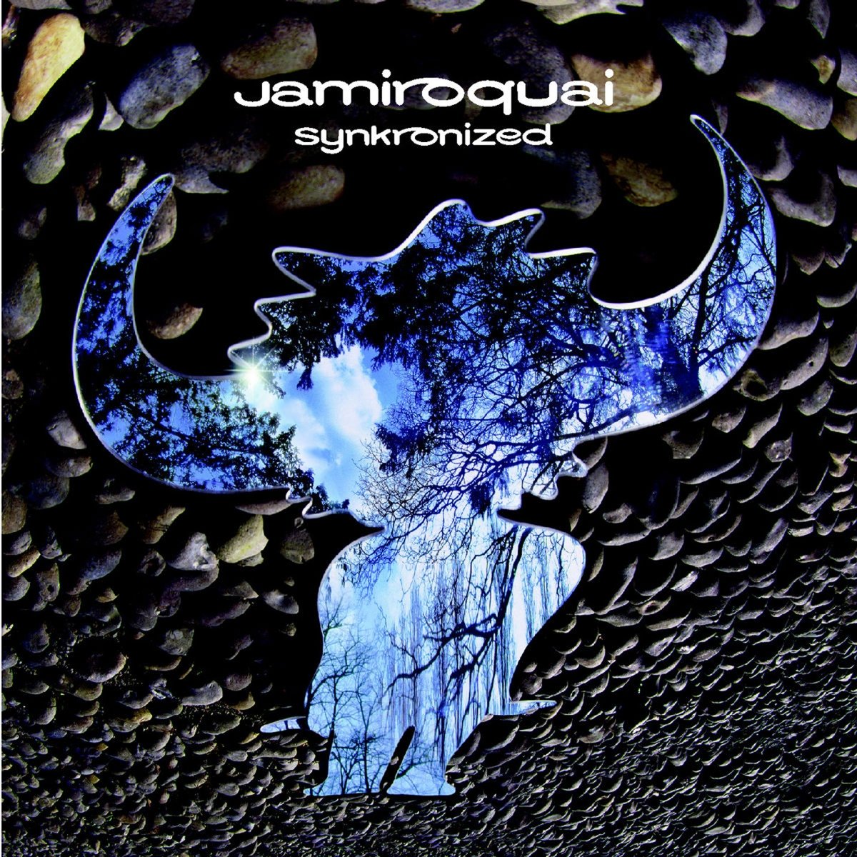 【中古】【非常に良い】SYNKRONIZED [Analog]