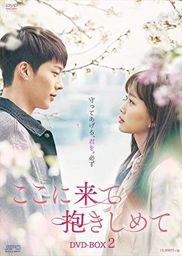 【中古】【非常に良い】ここに来て抱きしめて DVD-BOX2