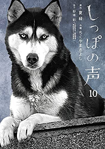 No.9