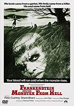 【中古】フランケンシュタインと地獄の怪物（モンスター） [DVD] qqffhab