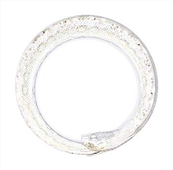 【中古】完全感覚Dreamer(初回限定盤)(DVD付) wyw801m