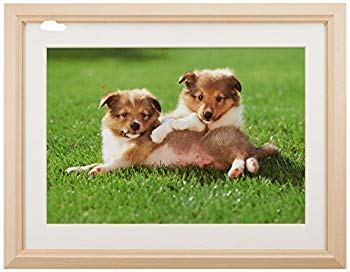 【商品名】FUJICOLOR 額縁 M12 アクリル 木地 ワイド4切 木製 ベージュ 47024【メーカー名】フジカラー【メーカー型番】47024【ブランド名】フジカラー【商品説明】FUJICOLOR 額縁 M12 アクリル 木地 ワイド...