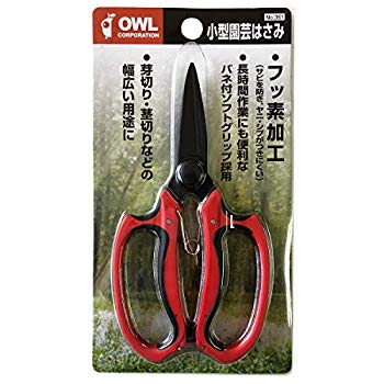 ����šۡ� OWL/������ �� �����ǽ�� �ե��ǲù� #351 i8my1cf