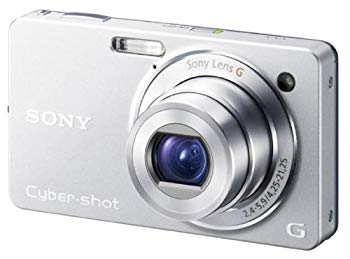 【中古】【非常に良い】ソニー SONY デジタルカメラ Cybershot WX1 (1020万画素/光学x5/デジタルx10/シルバー) DSC-WX1/S wyw801m