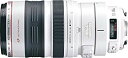 【中古】Canon 望遠ズームレンズ EF100-400mm F4.5-5.6L IS USM フルサイズ対応 p706p5g