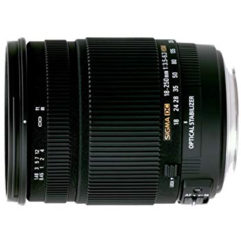 【中古】シグマ 18-250mm F3.5-6.3 DC OS HS