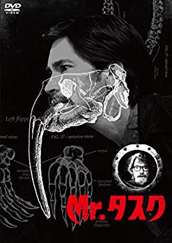【中古】Mr.タスク スペシャル・プライス [DVD] dwos6rj
