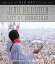 š(̤ѡ̤)Jimi Hendrix Live at Woodstock [Blu-ray] [Import] og8985z