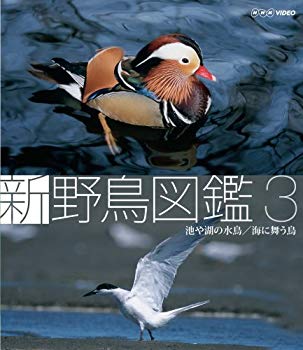 楽天市場】水鳥 図鑑の通販 楽天市場】水鳥 図鑑の通販