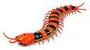 【中古】ラジコン 玩具 迫りくる百足 ラジコン 超リアル 虫 2CH 停止 イベント サプライズ KB-RC-MUKA qqffhab