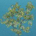 【中古】(未使用・未開封品) 和巧 ジオラマアクセサリーシリーズ 1/48 リンデン 7z28pnb