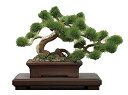 【中古】プラッツ 1/12 ザ・盆栽 壱 プラモデル BON-01 2zzhgl6