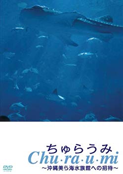 ちゅらうみ 沖縄美ら海水族館への招待  bme6fzu