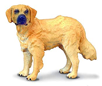 コレクタ　88116　ゴールデンレトリバー　Golden Retriever 6g7v4d0