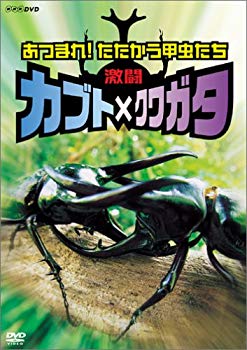 【中古】激闘 カブト×クワガタ ~あつまれ!たたかう甲虫たち~ [DVD] o7r6kf1