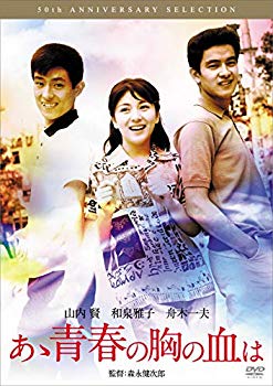 【中古】あゝ青春の胸の血は [DVD] rdzdsi3