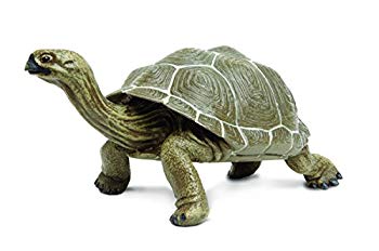 【中古】(未使用・未開封品)　サファリ レプリカ ガラパゴスゾウガメ(親) gsx453j