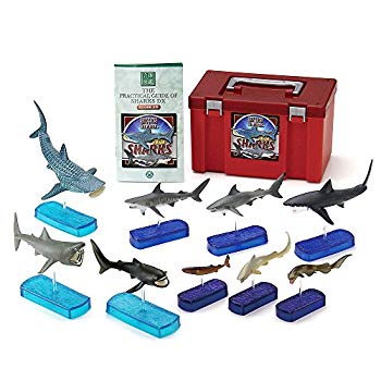 【中古】カロラータ サメの仲間 フィギュア ( 立体図鑑 ) サメ リアル フィギュアボックス 解説書/スタンド付き 食品衛生法クリア 9種 wgteh8f