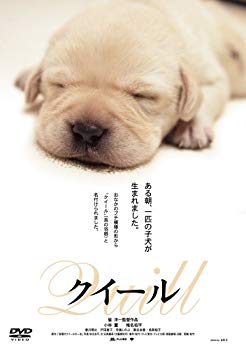 Rakuten - 【中古】クイール [DVD] bme6fzu