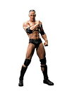 【中古】【非常に良い】S.H.フィギュアーツ WWE ザ・ロック(The Rock) 約160mm PVC&ABS製 可動フィギュア 2zzhgl6(3)