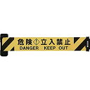 【中古】(未使用・未開封品) Reelex 自動巻きバリアリールWide(シート幅120mm) BRS-1205B ガードテープ 6k88evb