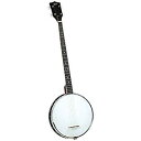 【中古】Rover RB-20P プレクトラムオープンバック4弦バンジョー 2mvetro