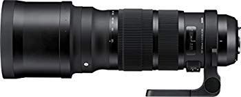 š(̤ѡ̤)SIGMA ˾󥺡 Sports 120-300mm F2.8 DG OS HSM Υ ե륵б 137540 60wa65s