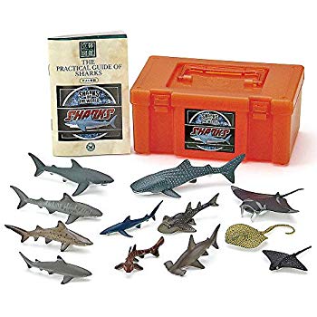 【中古】カロラータ サメの仲間 フィギュア ( 立体図鑑 ) 魚 リアル フィギュアボックス 解説書付き 食品衛生法クリア 12種 tf8su2k