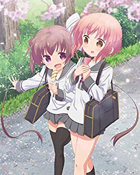 Rakuten - 【中古】スロウスタート 1(完全生産限定版) [DVD] z2zed1b