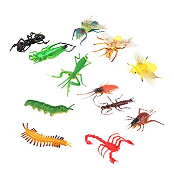 ����šۡڥΡ��֥����ʡۿ͵�ưʪ �ե����� ����å� ��ǥ륻�åȥ��˥ޥ� �ץ饹���å� ������� ��ǥ� 12�ĥ��å� w17b8b5