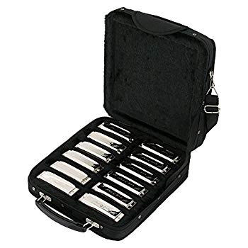 【中古】(未使用・未開封品)　ARIA アリア Harmonica ハーモニカ 12本セット AH-1020セットW/C sdt40b8