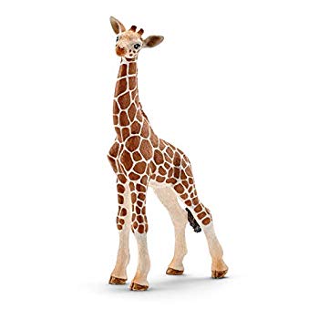 Rakuten - 【中古】(未使用・未開封品)　シュライヒ ワイルドライフ キリン (仔) フィギュア 14751 df5ndr3
