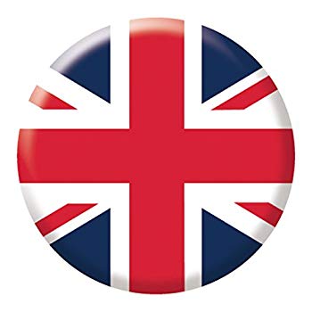 【中古】ライト(LITE) T-226 ピッチピッチフィックス用 マーカー T-226(500) UKフラッグ ggw725x