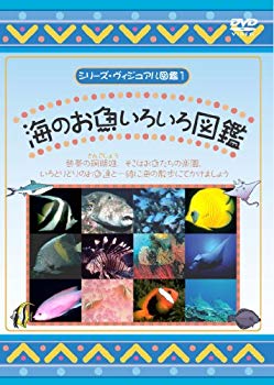 【中古】【非常に良い】海のお魚いろいろ図鑑 [DVD] g6bh9ry