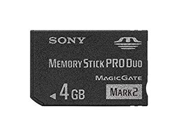 【中古】SONY 著作権保護機能搭載IC記録メディア“メモリースティック PRO デュオ 4GB MS-MT4G 2T 6g7v4d0